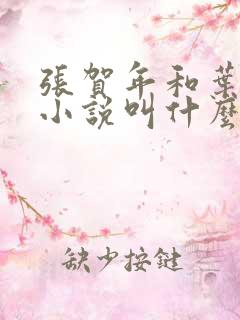 张贺年和叶繁姿小说叫什么名字