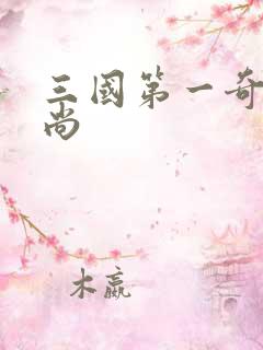 三国第一奇兵袁尚