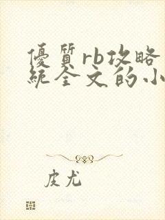 优质rb攻略系统全文的小说