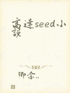 高达seed小说