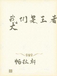 我们是王者立海大