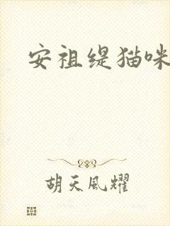 安祖缇猫咪抱抱