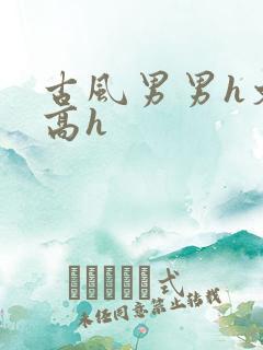 古风男男h文肉高h