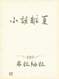 小说离夏