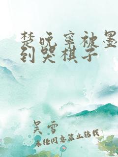 楚晚宁被墨燃做到哭棋子