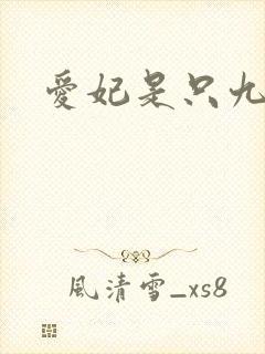 爱妃是只九尾猫