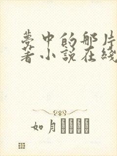 梦中的那片海原著小说在线阅读