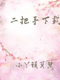 二把手下载