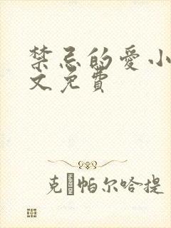 禁忌的爱小说全文免费