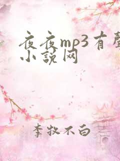 夜夜mp3有声小说网
