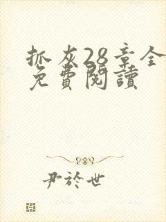 抓灰28章全部免费阅读