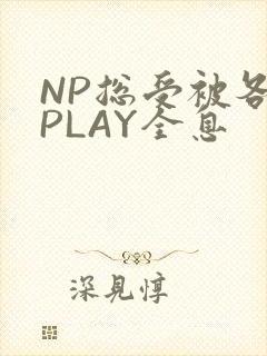 NP总受被各种PLAY全息