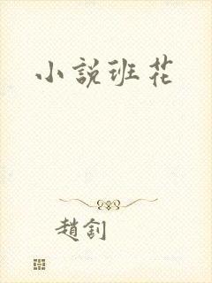 小说班花