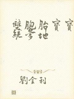 双胞胎宝宝的总统爹地