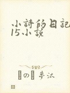小诗的日记1一15小说