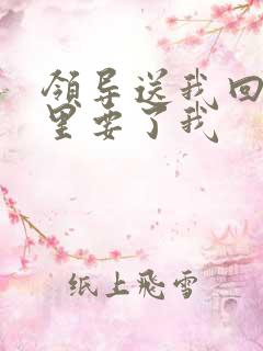 领导送我回家车里要了我