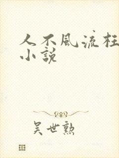 人不风流枉少年小说