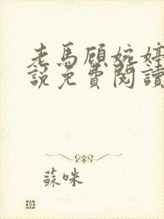 老马顾婉婷的小说免费阅读