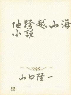 他跨越山海而来小说