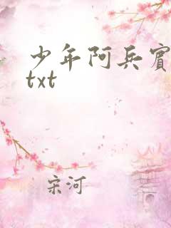 少年阿兵宾小说txt