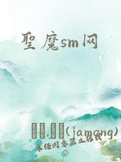 圣魔sm网
