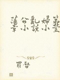 荡公乱妇第51章小说小莹