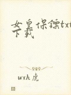 女皇保镖txt下载