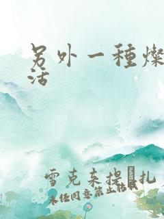 另外一种灿烂生活