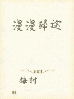 漫漫归途