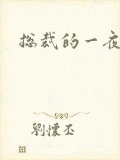 总裁的一夜情人