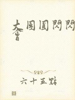 大团圆闪闪相亲会