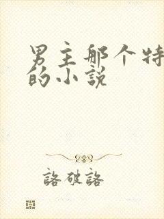 男主那个特别大的小说