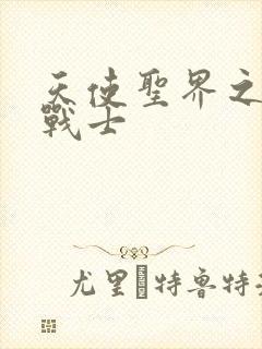 天使圣界之神之战士