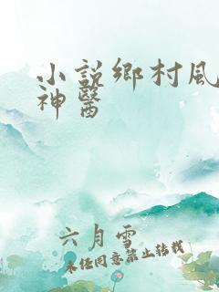 小说乡村风流小神医