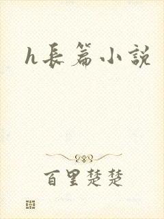 h长篇小说