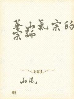 华山气宗的形意宗师