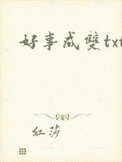 好事成双txt