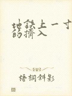 地铁上一寸一寸的挤入