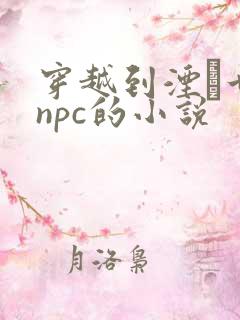 穿越到湮婸世界npc的小说