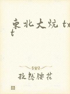 东北大炕 txt