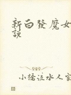 新白发魔女传小说