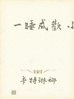 一睡成欢 小说