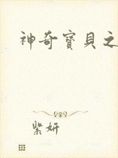 神奇宝贝之一辉