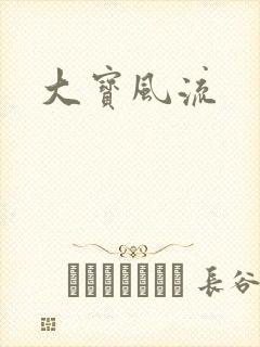 大宝风流
