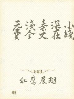 元浅秦深小说免费全文在线