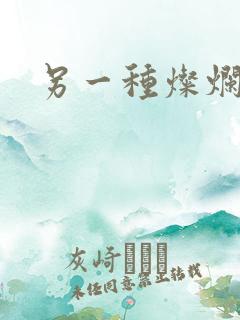 另一种灿烂生活