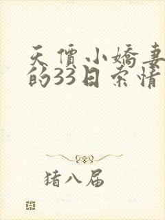 天价小娇妻总裁的33日索情