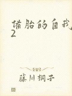 备胎的自我修养2