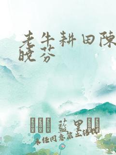 老牛耕田陈雪杨晓芬