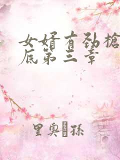 女婿有劲枪枪到底第三章